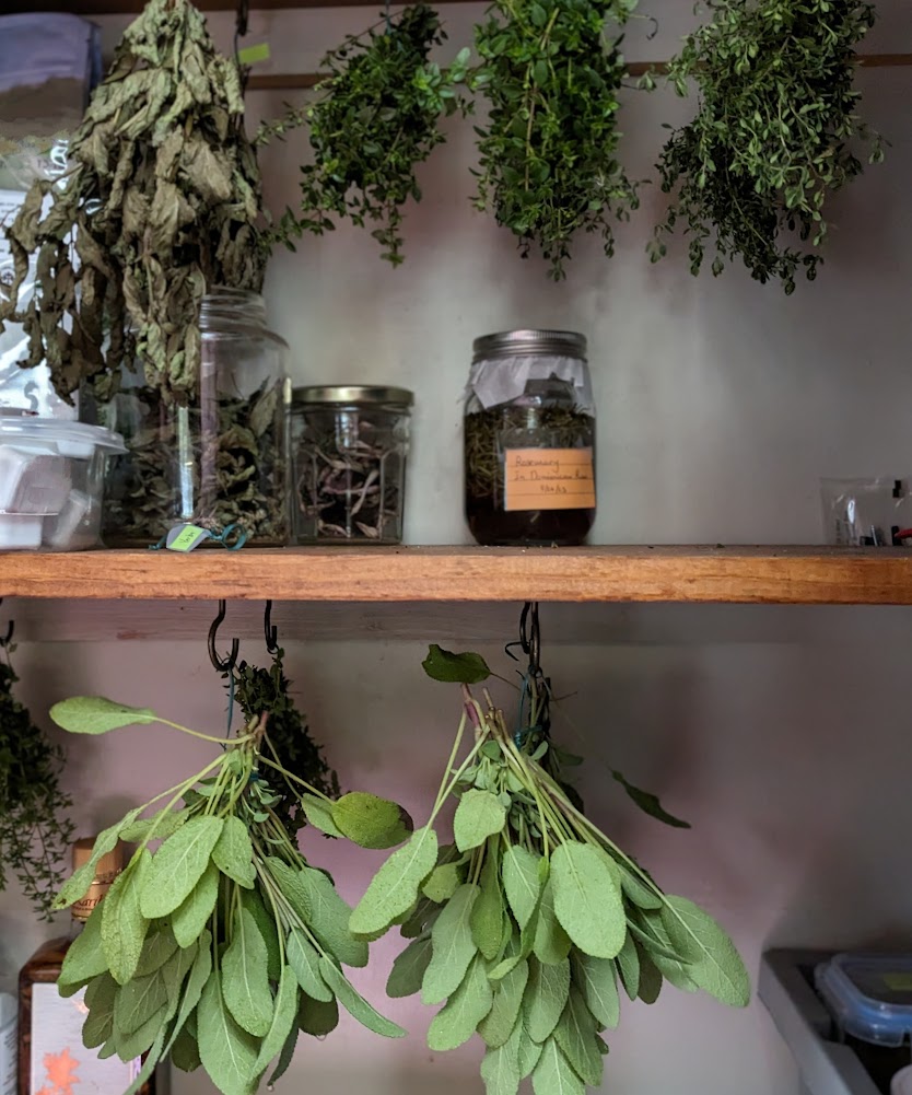 Air Drying Tranquility